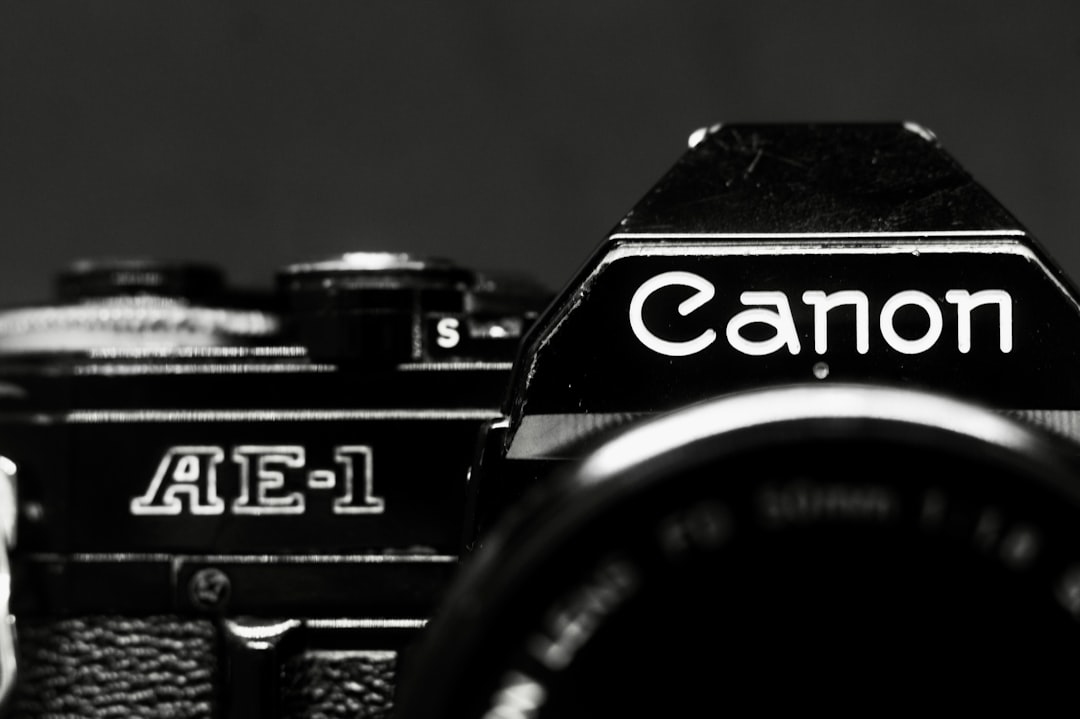 Как выбрать камеру для начинающего фотографа: советы и критерии 2025